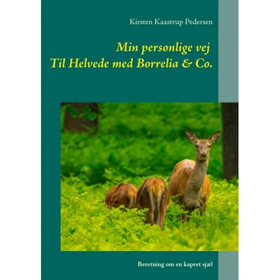 Min personlige vej til helvede med Borrelia & Co. - Kirsten Kaastrup Pedersen