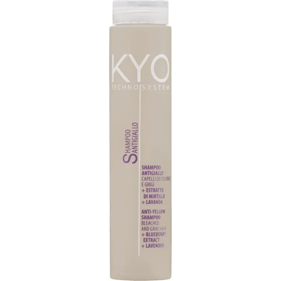 KYO Techno System Anti-gul Shampoo 250 ml