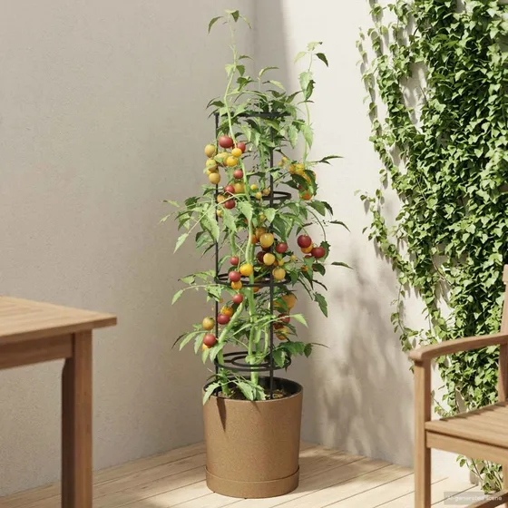 vidaXL Tomatdyrker Naturo ECO WPC Ø 39 x 139 cm