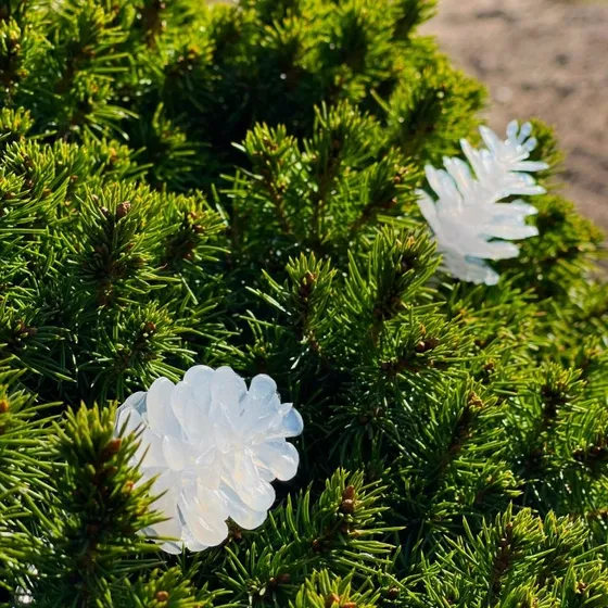 LightsOn Pine 10m lyskæde med hvide iriserende kogler