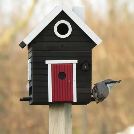 Wildlife Garden Multifuglehus Plus - Sort Hytte
