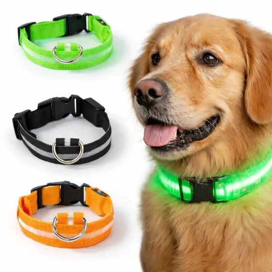LED Hundehalsbånd Genopladeligt - Refleks & Lys - Sort - S