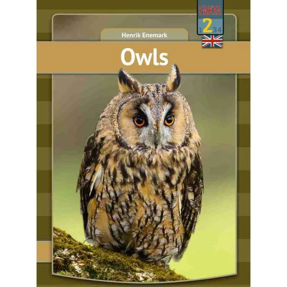Owls - Henrik Enemark - My First Book