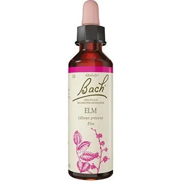 Bach Elm 10ml - Bach Blomsterekstrakt