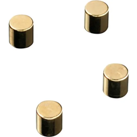 NAGA Cylinder magneter, super stærke, guld/stål (4 stk.)