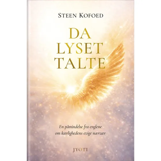 Da lyset talte - Steen Kofoed