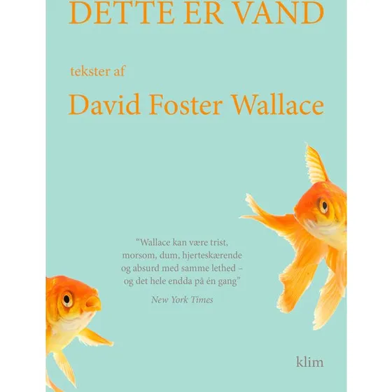 Dette er vand - David Foster Wallace - Bog