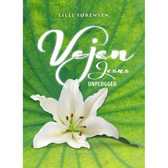 Vejen - Lilli Sørensen