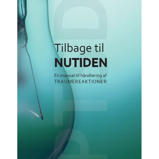 Tilbage til nutiden - Modum Bad - Bog