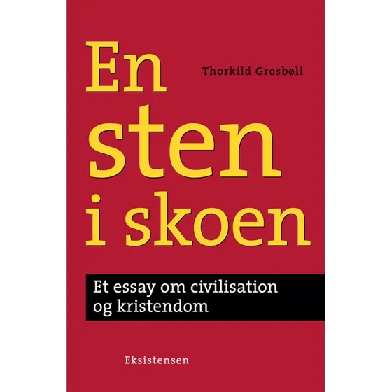 En sten i skoen - Thorkild Grosbøll