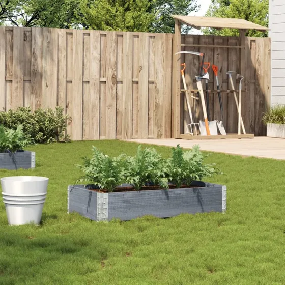 vidaXL plantekasse 100x50 cm i massivt fyrretræ, grå