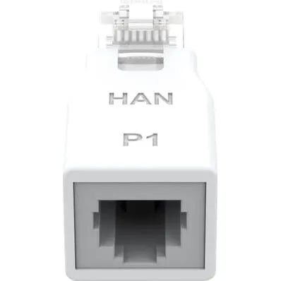 HomeWizard HAN-konverter: RJ45 til RJ12 adapter til P1 Meter