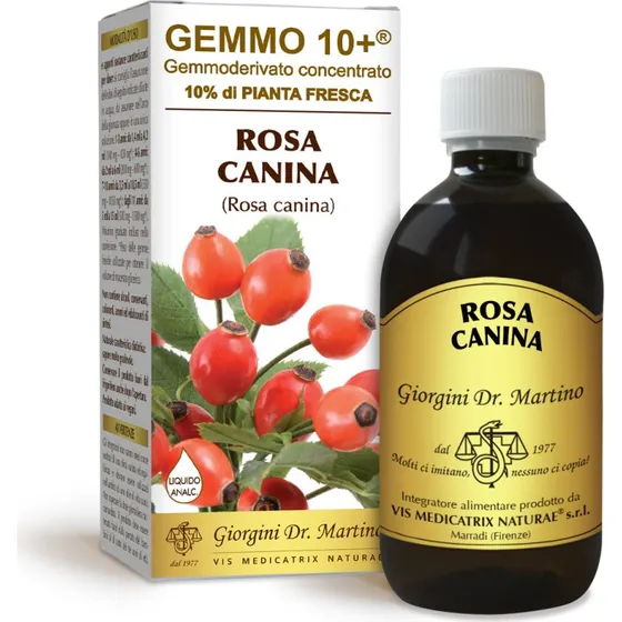 Dr Giorgini Gemmo 10+ Hyben 500 ml - Alkoholfri ekstrakt
