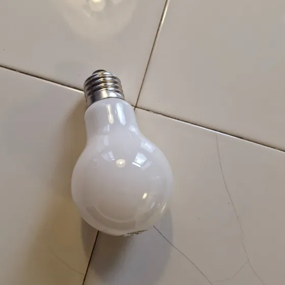 Diolux Norma100 LED-pære E27 12W 1521lm 3000K