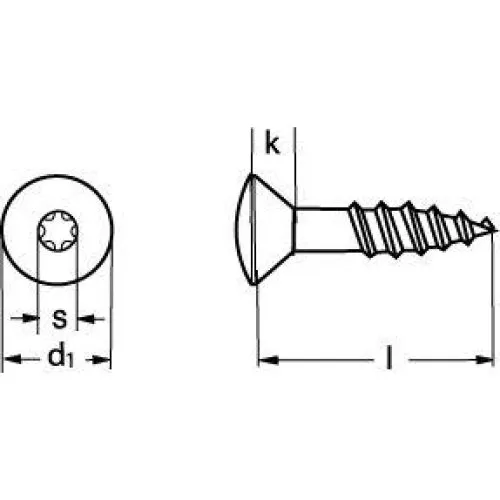 Gleitmo 5,0x60 A2 Torx25 Spånpladeskrue med linsehoved