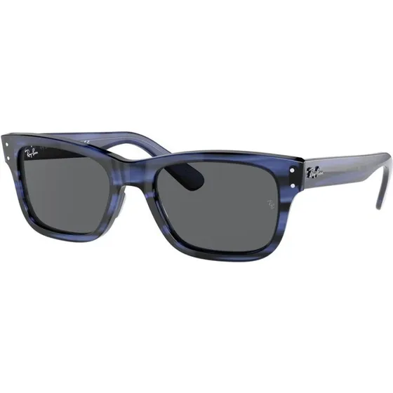 Ray-Ban RB2283 1314R5 Mr Burbank