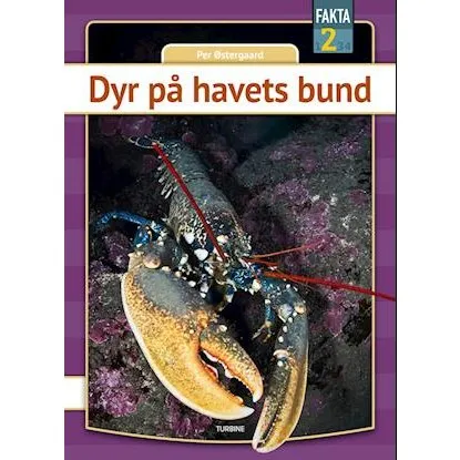Dyr på havets bund - Per Østergaard - Bog