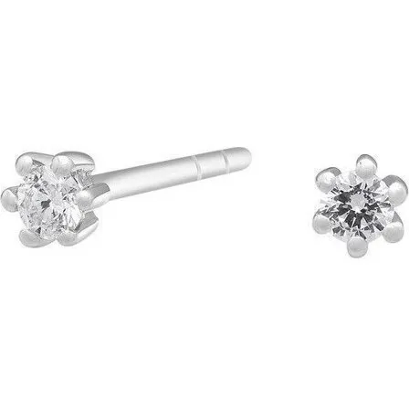 Siersbøl Afrodite 14 kt. hvidguld diamant ørestikker 0,06 ct