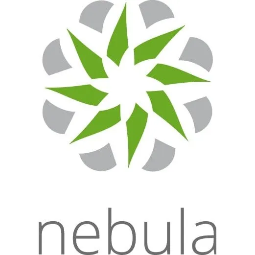 Zyxel LIC-NPRO-ZZ1Y00F - 1 års softwarelicens (1 licens)