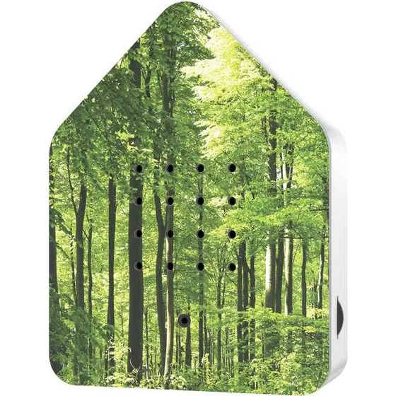 Zwitscherbox Forest