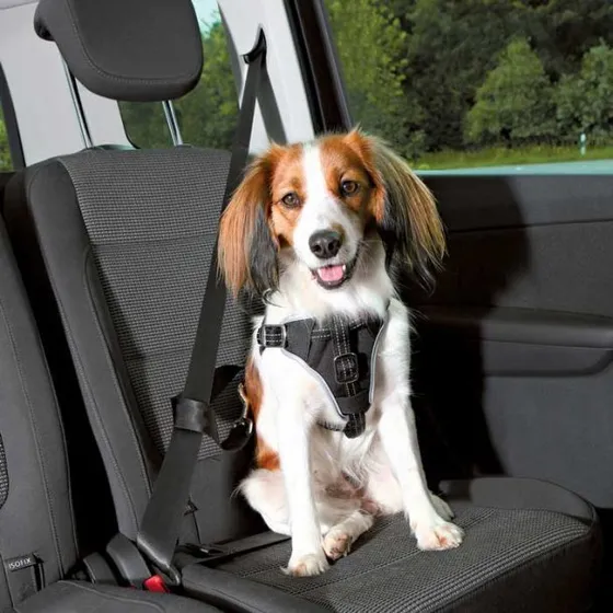 Trixie Comfort sikkerhedssele til bil, sort L