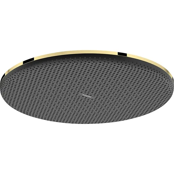 Hansgrohe Raindance Alive S 300 Hovedbruser - Guld PVD