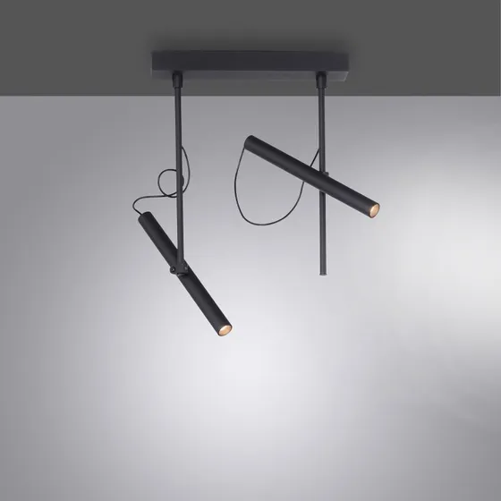 Paul Neuhaus Pure Tutua LED-loftlampe, 2 spots, sort