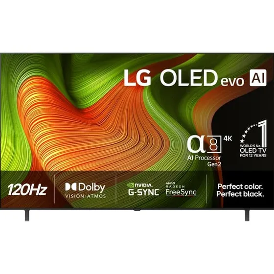 LG 65" B5 OLED 4K TV (2025)