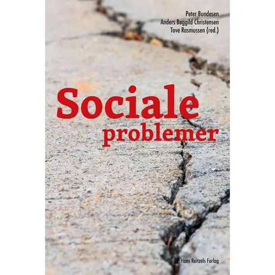Sociale problemer - Steen Bengtsson m.fl. (Bog)