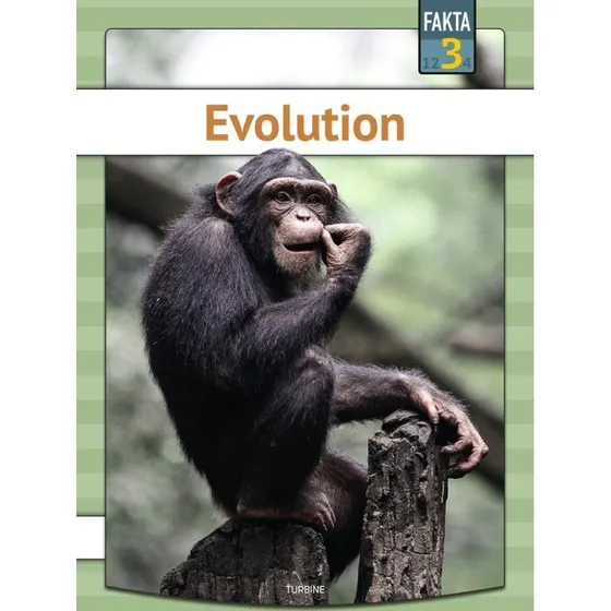 Evolution - Sigurd Toftdahl Terkelsen (Fakta 3)