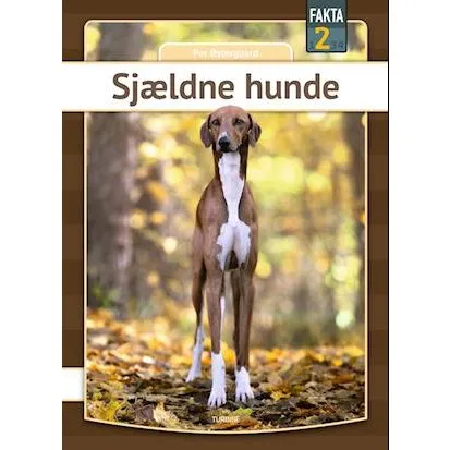 Sjældne hunde - Per Østergaard - Bog