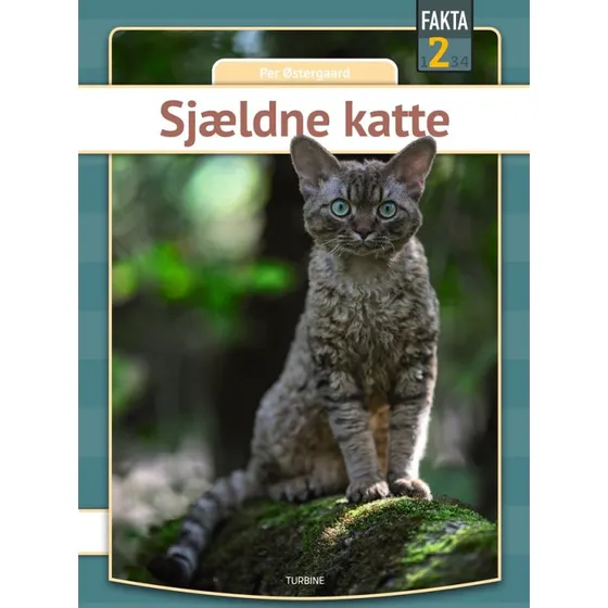 Sjældne katte - Per Østergaard - Turbine