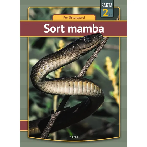 Sort mamba - Per Østergaard - Fakta 2