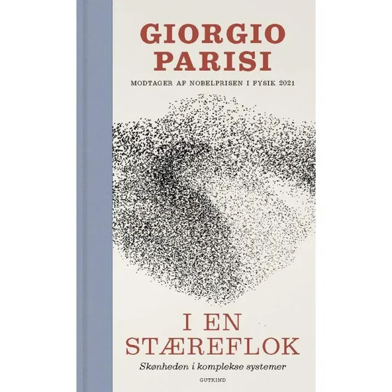I en stæreflok - Giorgio Parisi - Bog
