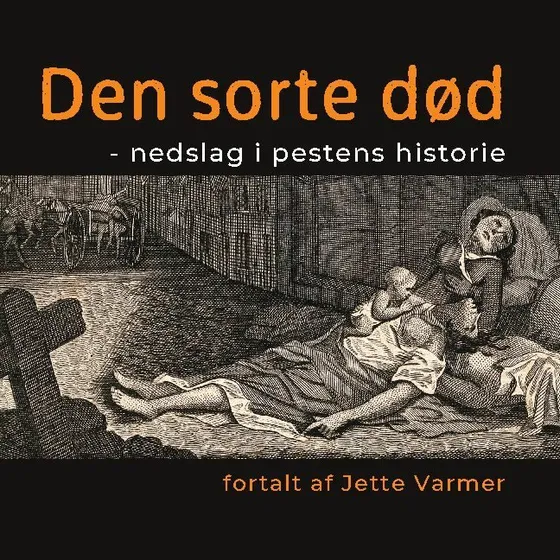 Den sorte død af Jette Varmer - Bog