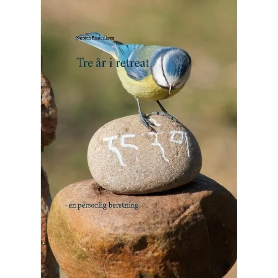 Tre år i retreat - Karsten Frederiksen