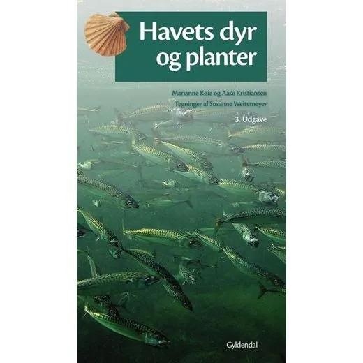 Havets dyr og planter - Marianne Køie & Aase Kristiansen - Bog