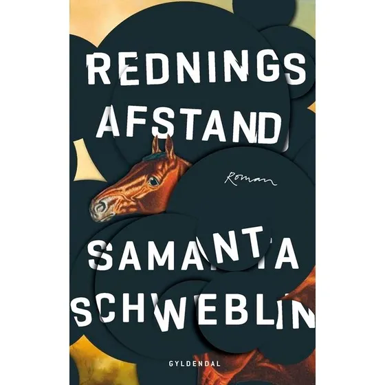 Redningsafstand - Samanta Schweblin - Bog