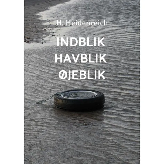 Indblik Havblik Øjeblik - H. Heidenreich (Bog)