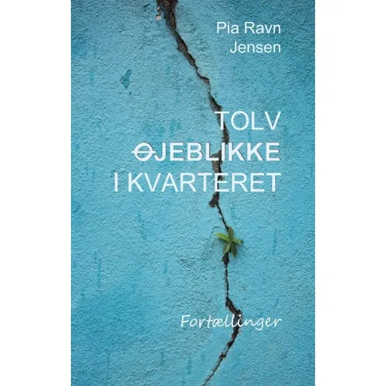 Tolv øjeblikke i kvarteret af Pia Ravn Jensen