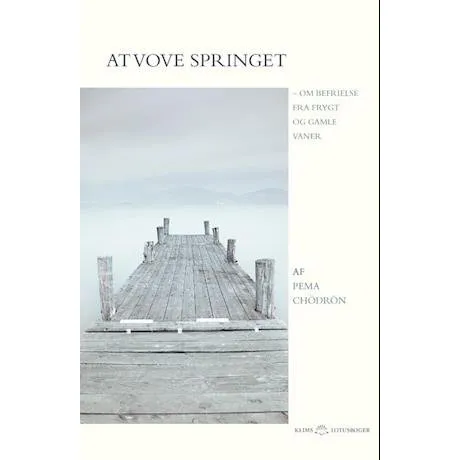 Pema Chödrön: At vove springet - Bog