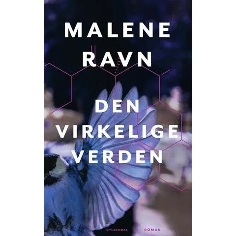 Den virkelige verden - Malene Ravn - Bog