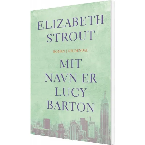 Elizabeth Strout: Mit Navn Er Lucy Barton (Bog)