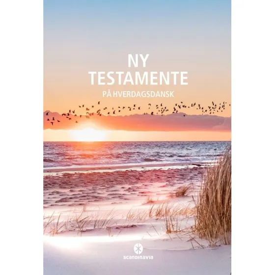 Ny Testamente - På Hverdagsdansk, Strand