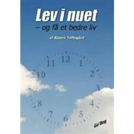 Lev i nuet - Bjarne Toftegård (Selvhjælpsbog)