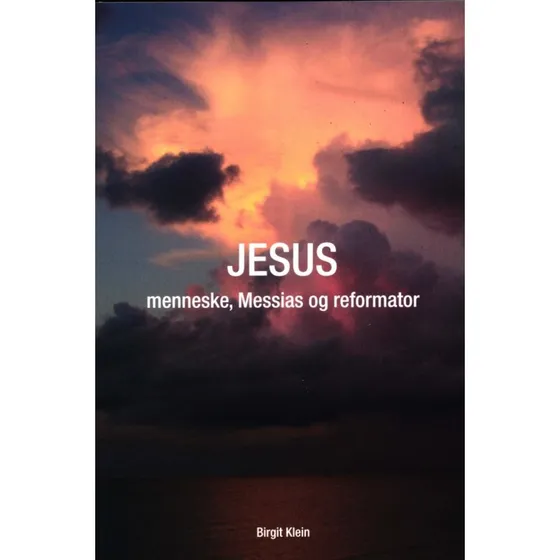 Birgit Klein: Jesus - Menneske, Messias Og Reformator