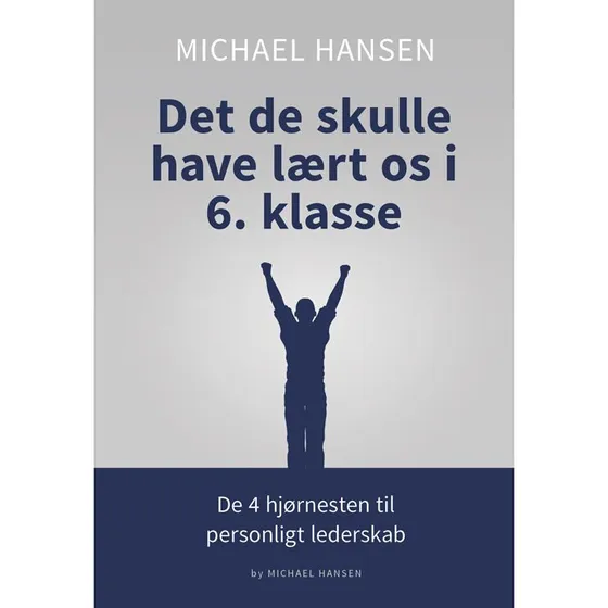 Det de skulle have lært os i 6. klasse - Michael Hansen (Bog)
