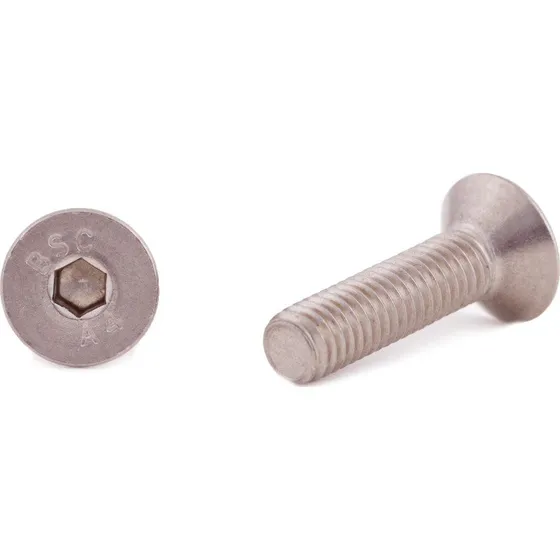 Arvid Nilsson Insexskrue M6 x 10 mm, A4 Rustfrit Stål, 500 stk.