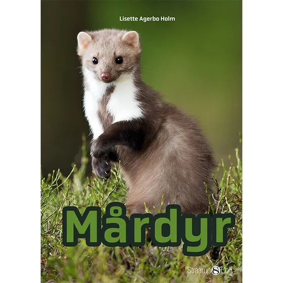 Mårdyr - Lisette Agerbo Holm - Fagbog til børn
