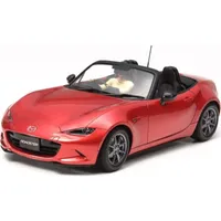 Legetøjsracerbiler og racerbaner